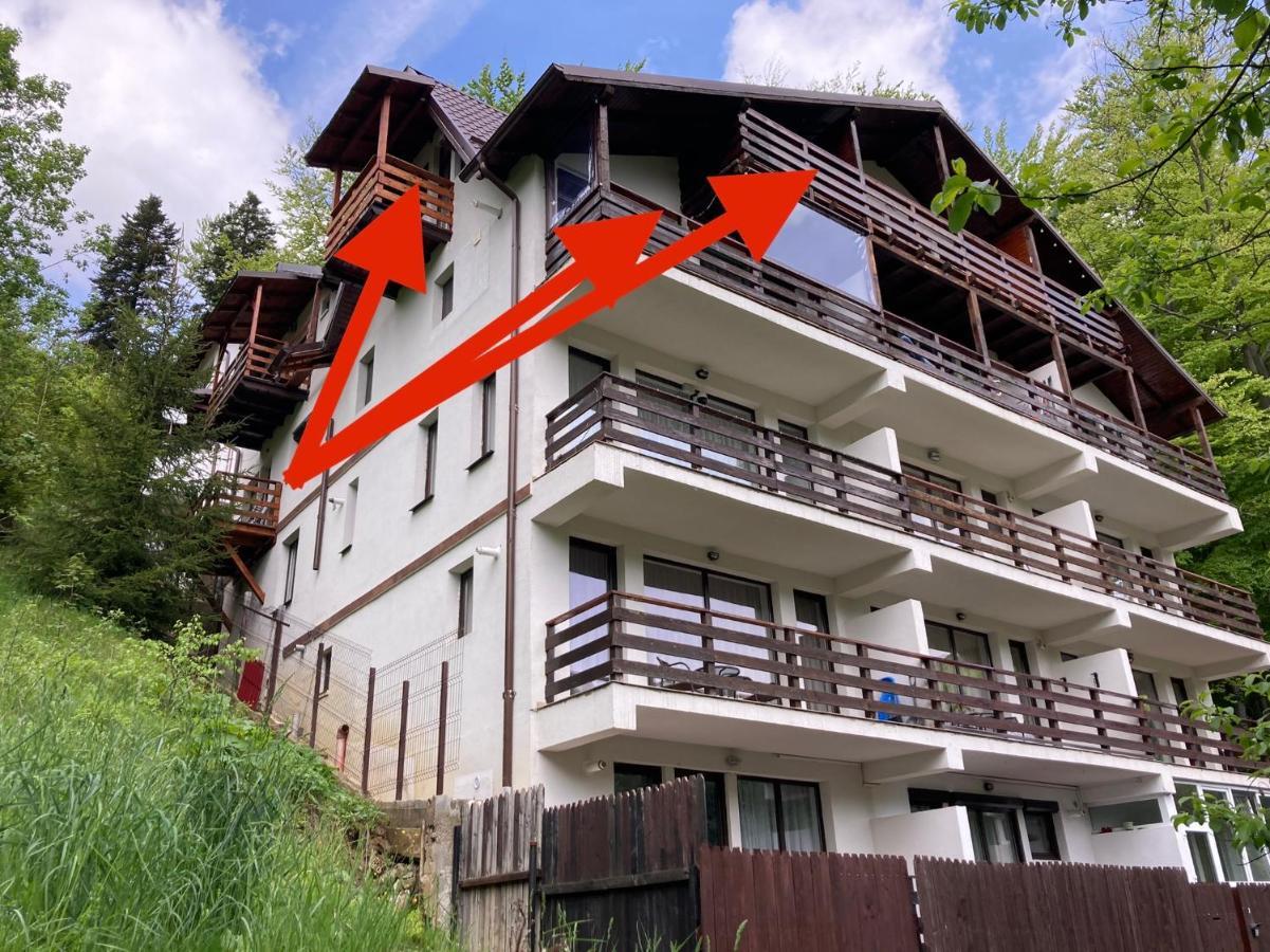 Lucas Duplex Apartment Azuga