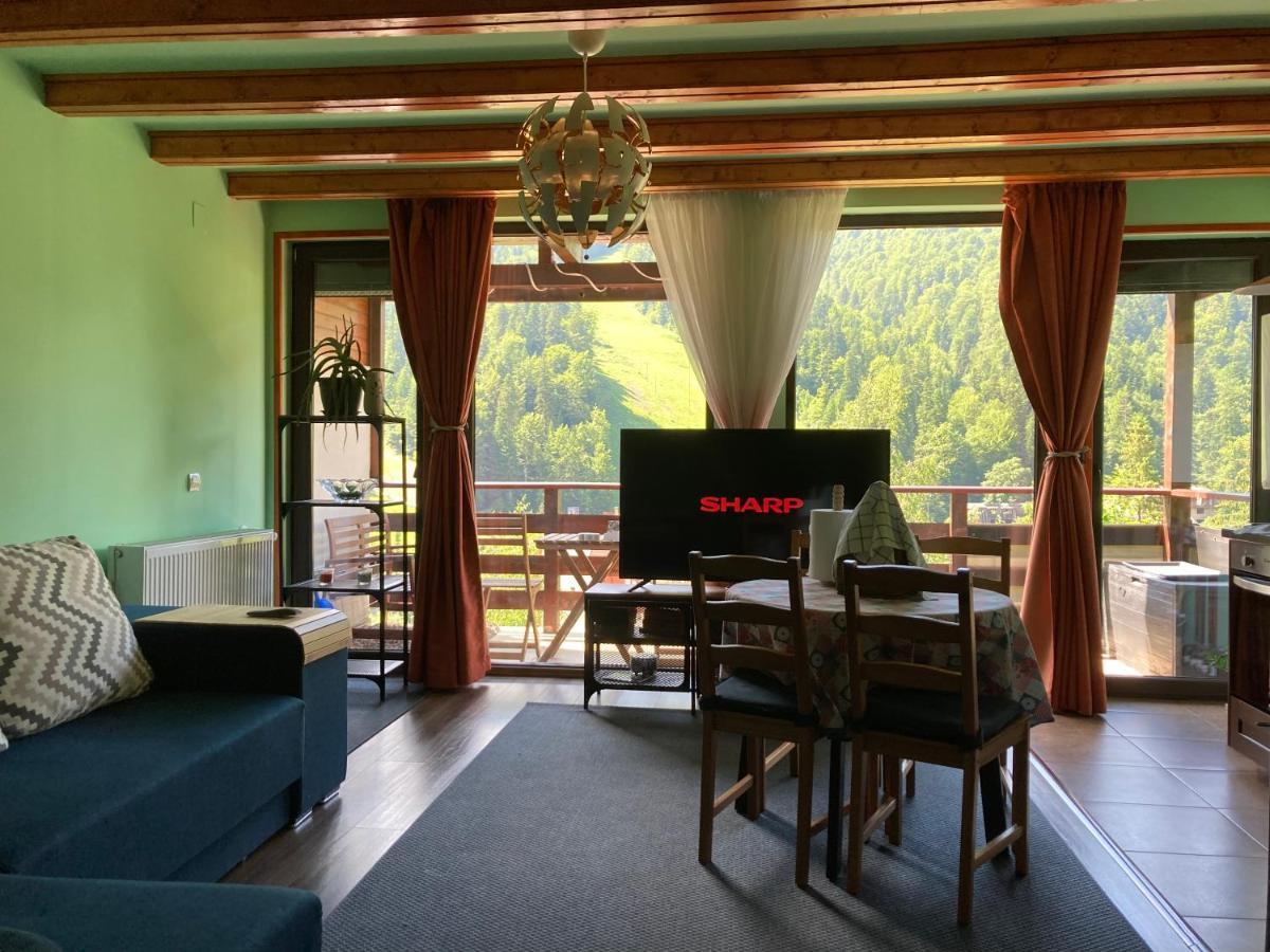 Lucas Duplex Apartment Azuga