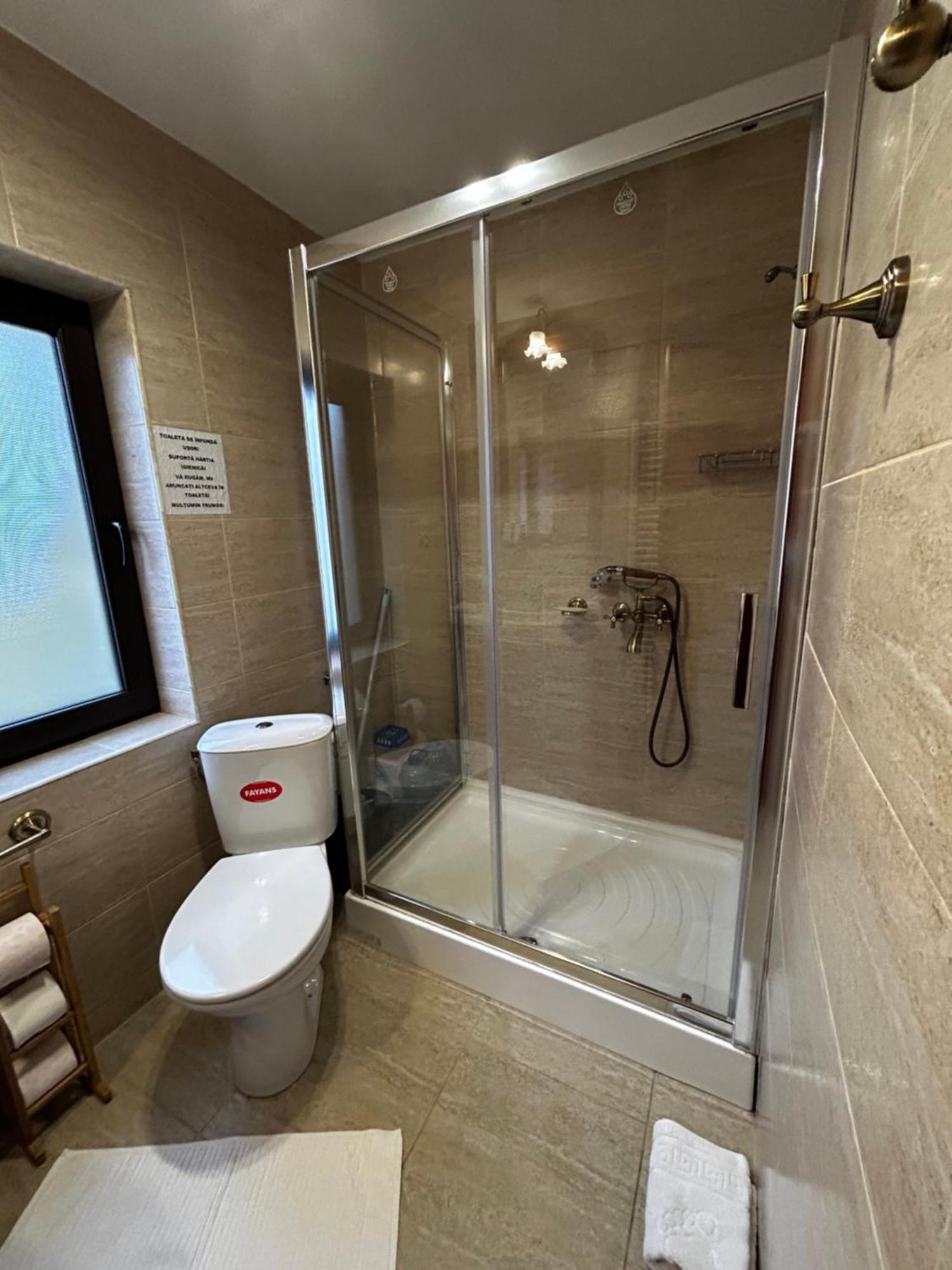 Lucas Duplex Apartment Azuga